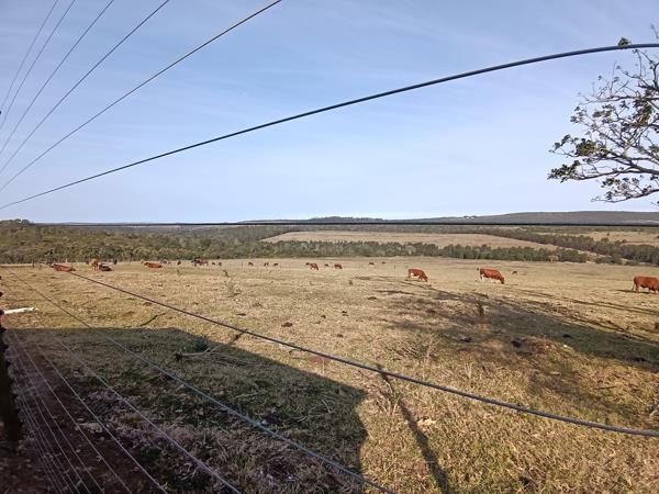 48.1 ha Farm