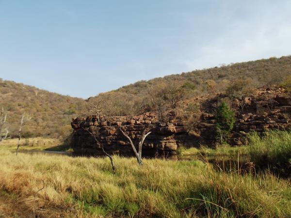 59.5 ha Farm