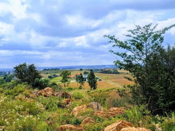 1 ha Land