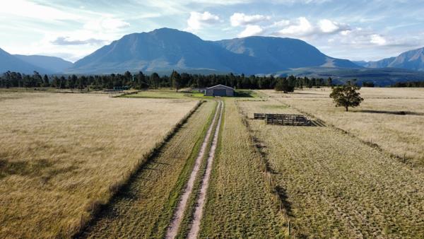 101 ha Farm