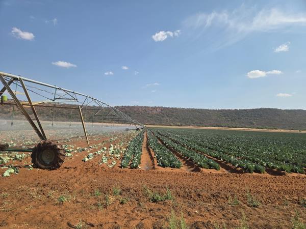 206 ha Farm