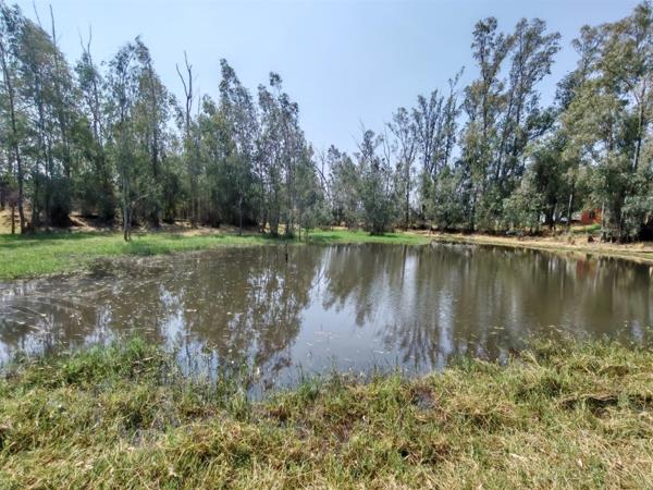 5.7 ha Farm