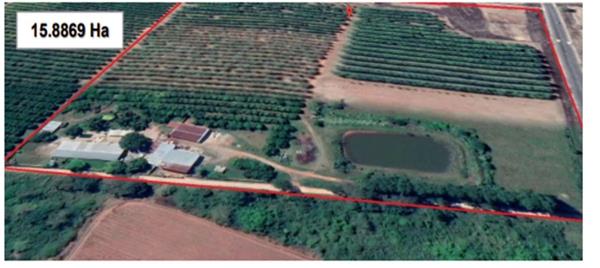 15.9 ha Farm