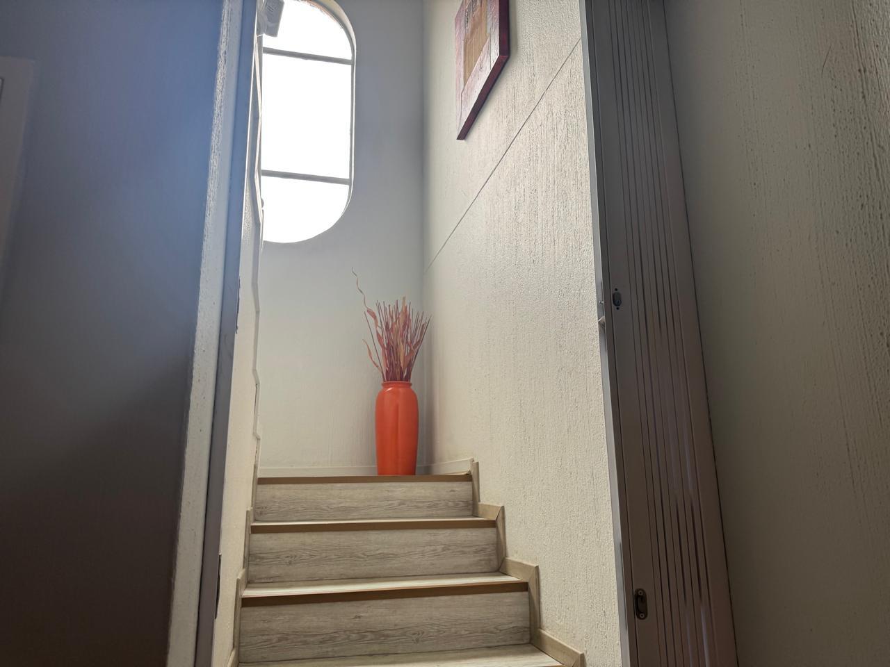 Apartment in New Redruth - More