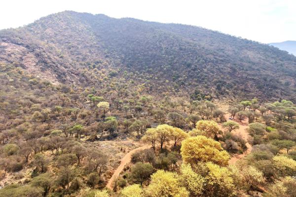 12 ha Land
