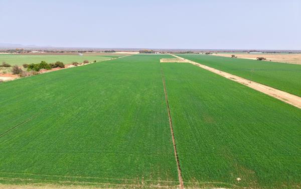 73 ha Farm