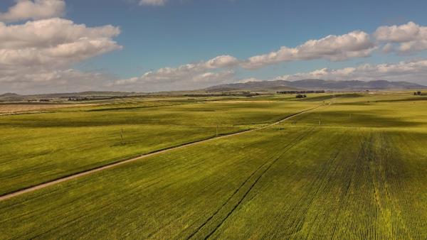 1 994 m² Land