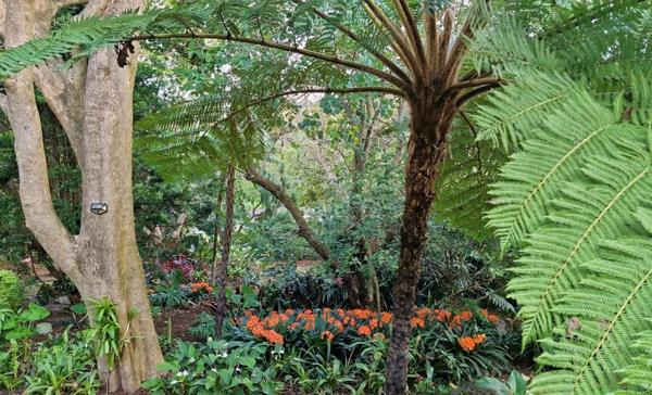 1 Bedroom Garden Cottage