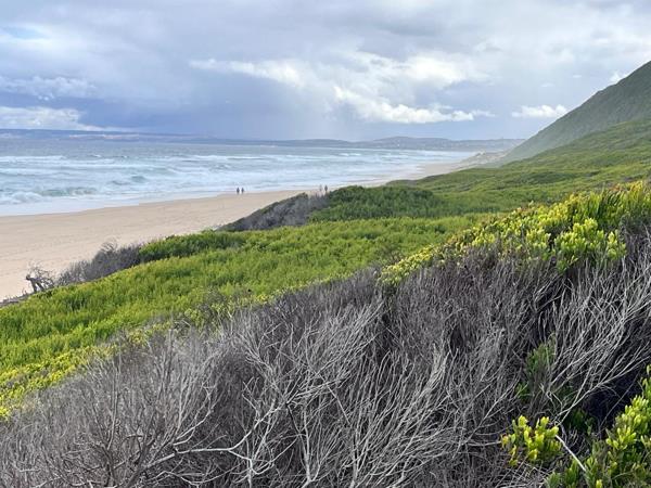 14 ha Farm with House