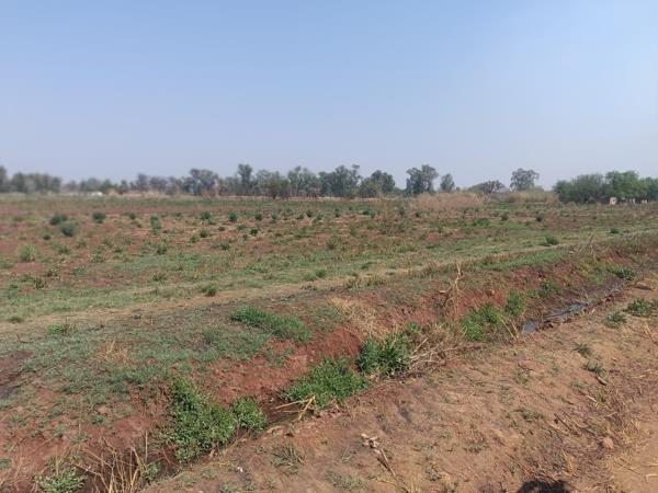 11.2 ha Farm
