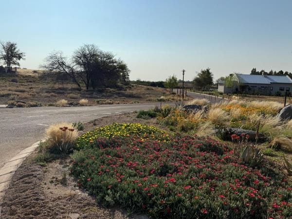 972 m² Land