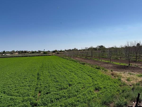 26 ha Farm