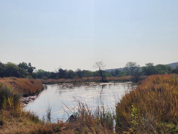 130 ha Farm