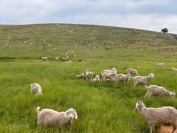 188 ha Farm