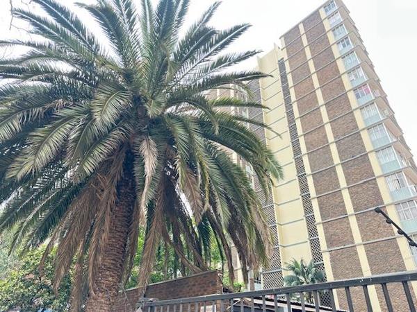 2.5 Bedroom Apartment