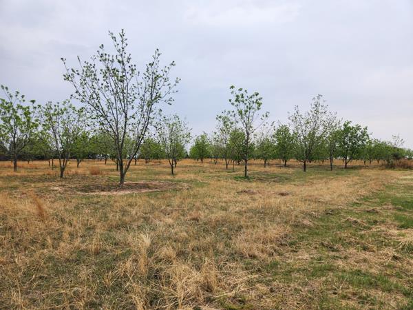 8.6 ha Farm