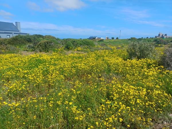 751 m² Land