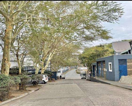 491  m² Commercial space