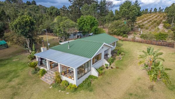 23 ha Smallholding