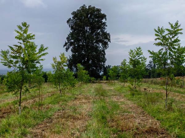 16.7 ha Farm