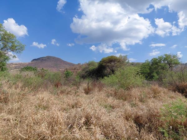 1 205 m² Land