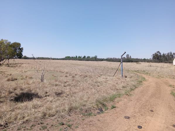 175 ha Farm with House