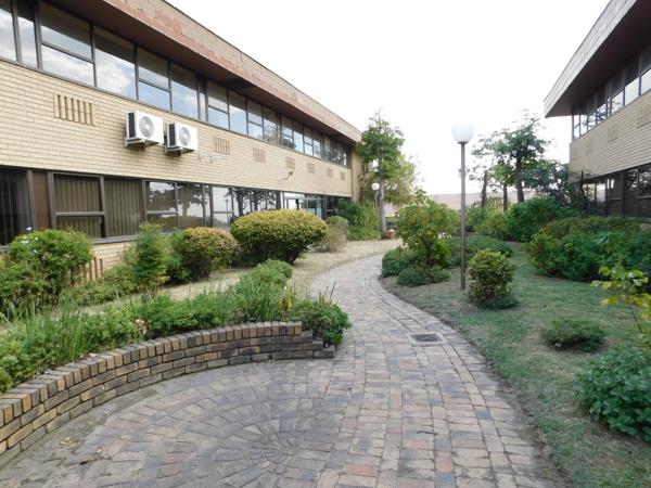 384  m² Commercial space