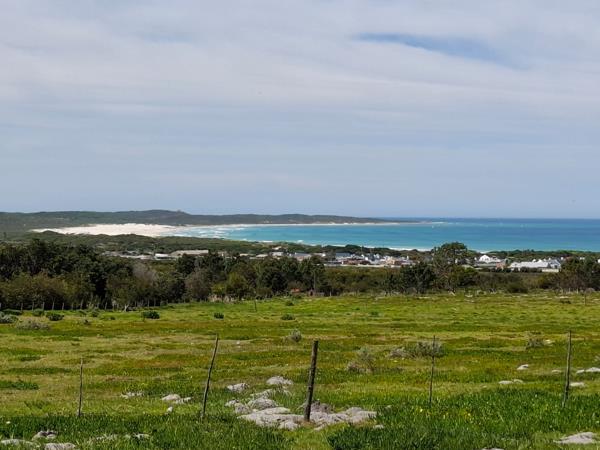 26.9 ha Smallholding