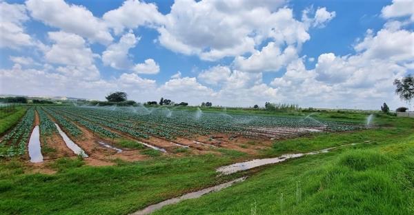 19 ha Farm