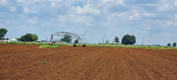 19 ha Farm