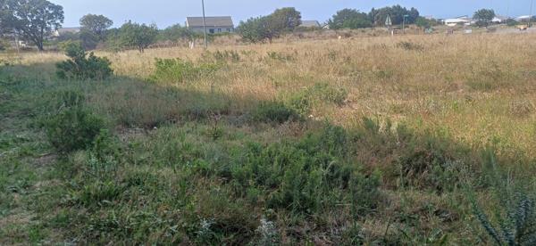 1 097 m² Land