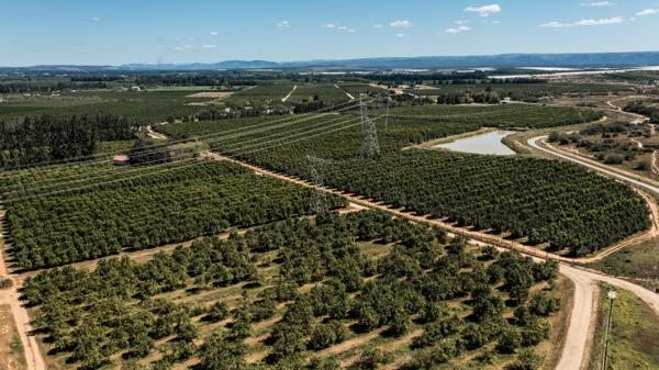 38 ha Agricultural Holding