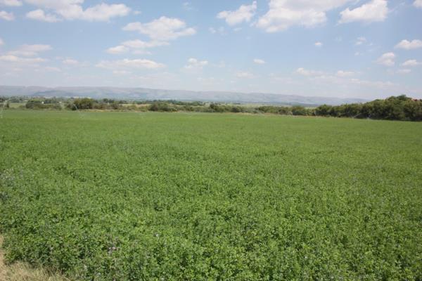 75 ha Farm