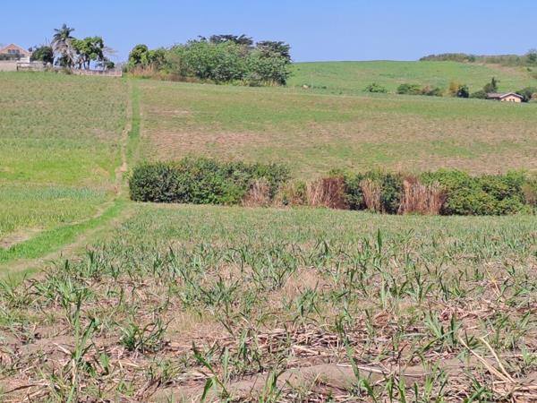 8 ha Farm