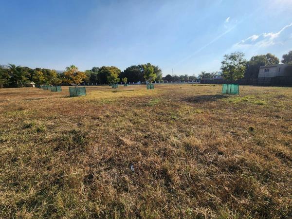 1 ha Land