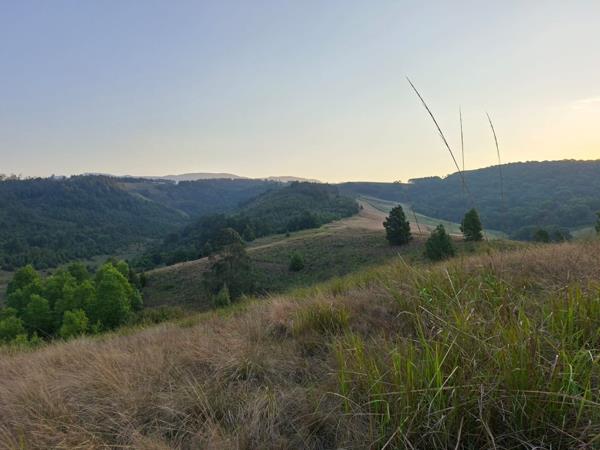 48.5 ha Land