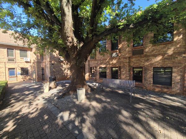 207  m² Commercial space