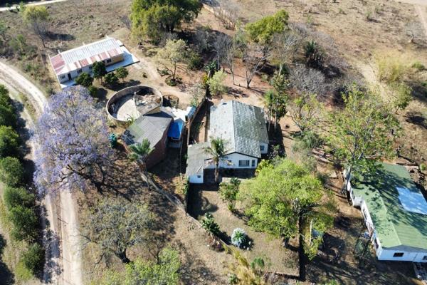 10.7 ha Smallholding