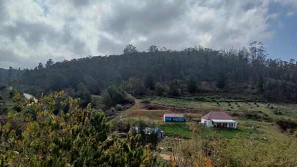 24 ha Farm