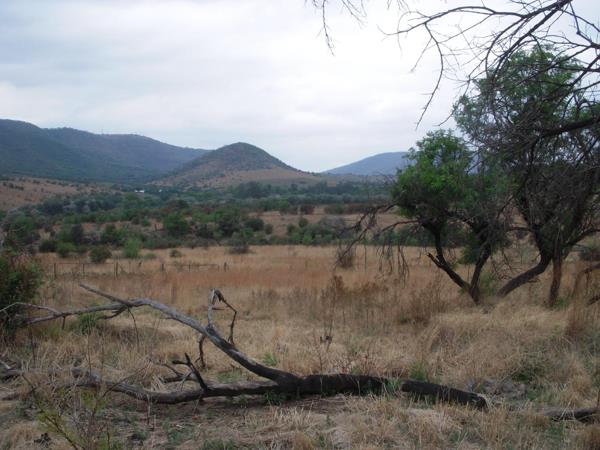 4.8 ha Farm