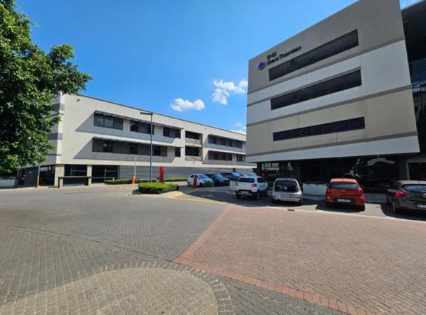 217.4 m² Office Space