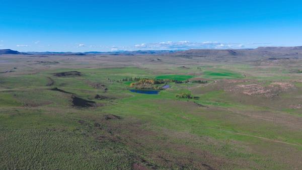 2 249.2 ha Farm