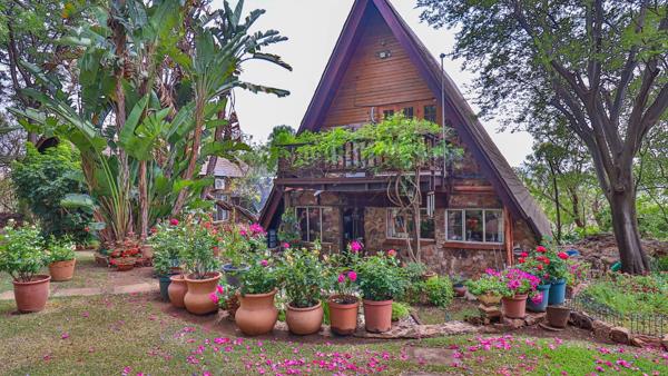 21 ha Commercial Farm