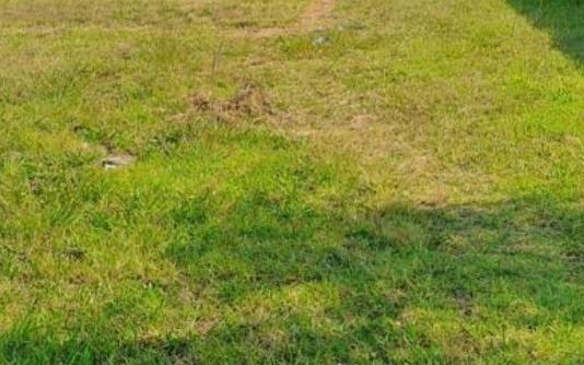 665 m² Land