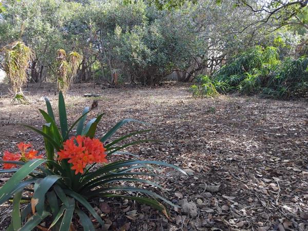 1 088 m² Land