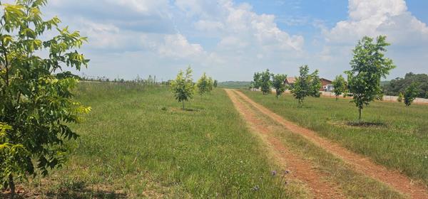 34 ha Farm