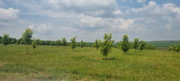 34 ha Farm
