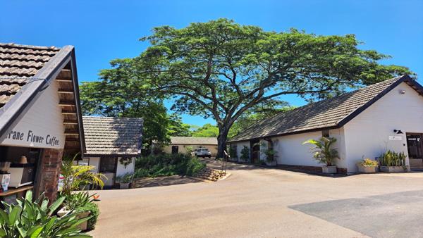 22  m² Commercial space