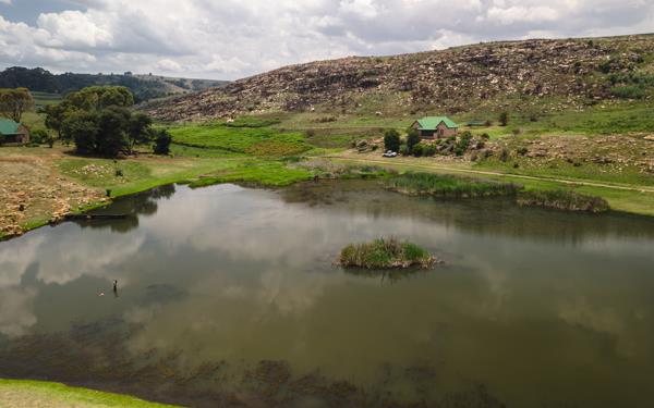 920 ha Farm