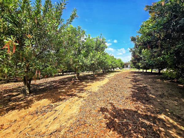 8 355 m² Farm